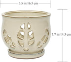 W&W Orchid Pot with Holes and Saucer for Repotting and Better Grow, Cream White, 6.5"