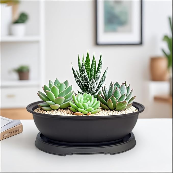 MUZHI 3 Pack Oval Bonsai Pot with Drainage Tray, Matte Finish Plastic Bonsai Growing Planters with Tools for Home Garden Plant Container (9.1" Large)