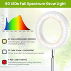 White Grow Light, Full Spectrum LED Plant Lighs for Indoor Growing with 6/12/16H Timer, 3 Color Modes, 5 Brightness, 10"-60" Height Adjustable Plant Lamp for Tall Indoor Plants (3 Pack)