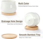SHECIPIN 12 Pack Succulent Plant Pot, Mini 2.6 inch Ceramic Flower Planter Pot with Bamboo Tray, Small Pots for Plants, Plants Not Included （White, Black）
