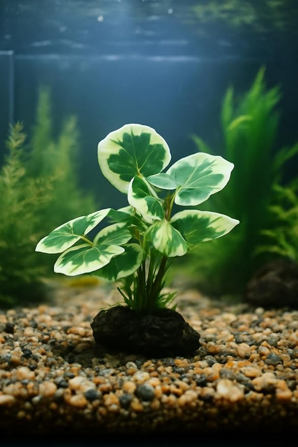 JGbaby Artificial Aquarium Plants,Fish Tank Decorations Betta Leaf Hammock 4in Realistic Silk & Plastic Plants, Hideout Decor for Betta. Goldfish,Reptiles,Small Tanks (Green Type-E)