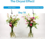 Chrysal Flower Boost – Clear Flower Food Packets for Flower Arrangements & Bouquets – Floral Supplies for Fresh Flowers – Fresh Flower Arrangements Supplies (10g - 100 Ct)