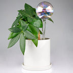 [3PCS] Light Iridescent Rainbow Gradient Color Clear Glass Self-Watering System Spikes, Automatic Plant Waterer Bulbs