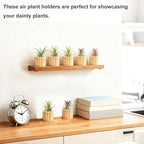 Belit 6 Pcs Air Plant Holder, Small Wooden Air Plants Live Holders for Home Decor (NO Plant Included)