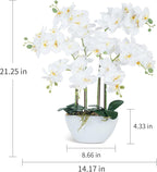 Ziwon Artificial Orchid Flowers & Plants Potted in Ceramic Pot, White Faux Phalaenopsis Orchids for Table Centerpiece, Realistic Fake Flower Arrangement for Home Office Decor Indoor