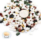 Natural Decorative Pebbles Rocks Polished Tterrarium Gravel White Stones with Red, Green, and Yellow Pastel Accents Mixed Color Aquarium Stones Garden Accessories Top Dressing for Bonsai Potted 2.2lbs