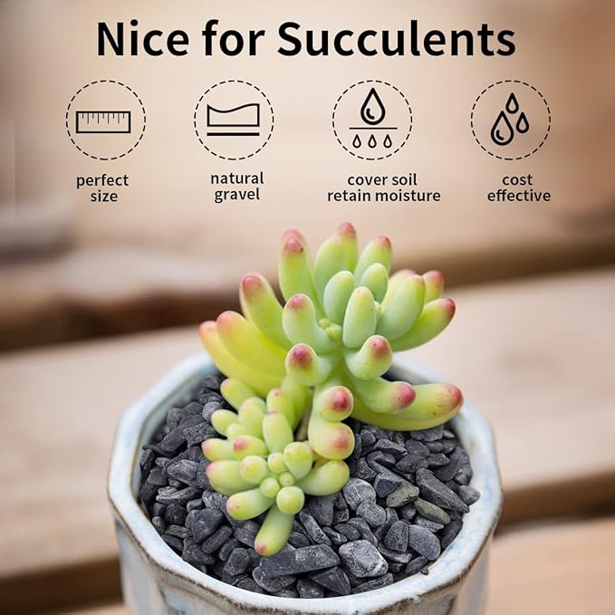 FANTIAN 5lbs Black Pea Gravel, 3/8 Inch Decorative Pebbles Succulent Rocks, Black River Rocks Stones for Planters Vase Landscaping and Outdoor Garden Rock