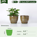 Sureasy 6.5 Inch Ceramic Plant Pots, Embossed Decorative Planters with Drainage Hole and Saucer, Modern Flower Pots for Indoor Plants, Set of 2, Green