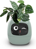 Smart Flowerpots,Smart Pet Planter,Ai Planter,Intelligent Flowerpots,Multiple Expressions,7 Smart Sensors, And Ai Chips Make Raising Plants Easy And Fun For Living Room,Desk,Plant-free (Green)