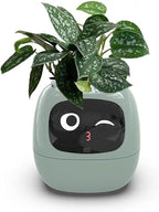 Smart Flowerpots,Smart Pet Planter,Ai Planter,Intelligent Flowerpots,Multiple Expressions,7 Smart Sensors, And Ai Chips Make Raising Plants Easy And Fun For Living Room,Desk,Plant-free (Green)