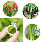 OJYUDD 300 PCS Plant Support Garden Clips,Tomato Vine Clips,Durable Crop Clips in White for Flower Vine Twine Tomato Orchid to Grow Upright and Healthier