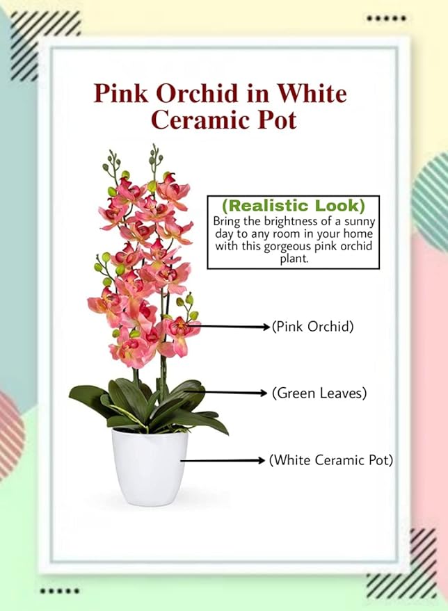 Serene Spaces Living Pink Orchid in White Ceramic Pot, Perfect for Weddings and Home Décor, Real Looking Plant for Decoration, Sold Individually, Measures 26" Tall X 6" Diameter