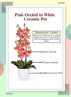 Serene Spaces Living Pink Orchid in White Ceramic Pot, Perfect for Weddings and Home Décor, Real Looking Plant for Decoration, Sold Individually, Measures 26" Tall X 6" Diameter