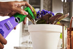Miracle-Gro Blooming Houseplant Food, Plant Fertilizer, 8 oz. (6-Pack)