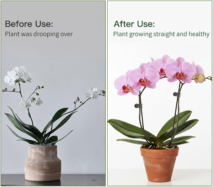 Plant Clips Orchid Clips 100 Pcs Plants Support Clip Flower and Vine Clip Plant Garden Clipss for Climbing Plants Supporting Stems Vines Stalks Grow Straight Upright Indoor Outdoor Orchid Accessories