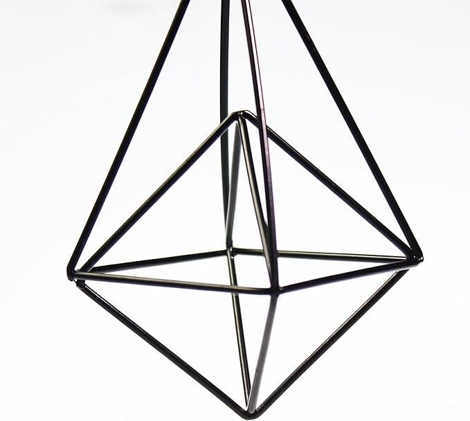 ZOOELAY Hanging Air Plants Holders Black Airplants Plant Hanger Metal Geometric Inoor Planter Holder Air Ferns Display Rack with Chain 4Pcs …