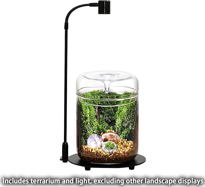SARUFO Glass Plant Terrarium 4.7"X7" Inches Succulent Air Planter Fern Moss Micro-Landscape Vase for Home Office Tabletop Decoration Container with Lid Indoor Wardian Copyright Patent（with Light）