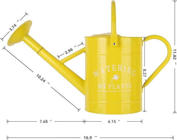 Galvanized Watering Can for Outdoor Indoor Plants, 1 Gallon Decorative Countryside Water Can with Removable Spout, Metal Watering Can for Indoor Plants and Garden Flower (Yellow)