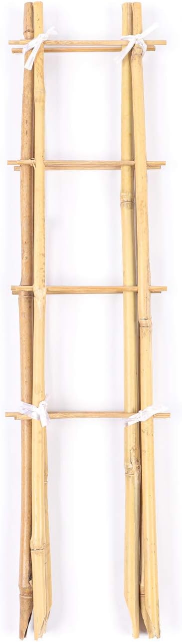Cambaverd 24 Inch Trellis for Potted Plants, 3 Pack Bamboo Trellis Indoor, Natural Garden Trellis for Climbing Plant Monstera Hoya Vegetables and Fruits