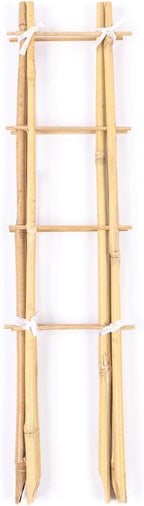 Cambaverd 24 Inch Trellis for Potted Plants, 3 Pack Bamboo Trellis Indoor, Natural Garden Trellis for Climbing Plant Monstera Hoya Vegetables and Fruits