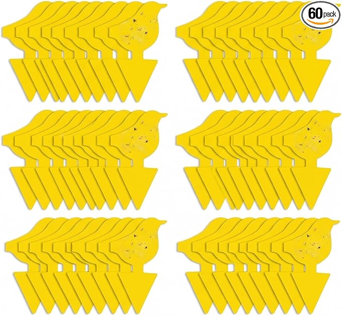 Kate's Home & Garden 60 Count Fruit Fly Traps for Indoors and House. Yellow Sticky Trap for Gnats, Mosquitos, Plants, Ants