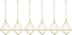 ZOOELAY Air Plants Live Holders 6 Pcs Glod Diamond Hanging Planter Small Air Plant Holders Unique with Chains Air Ferns Tillandsia Display for Indoor