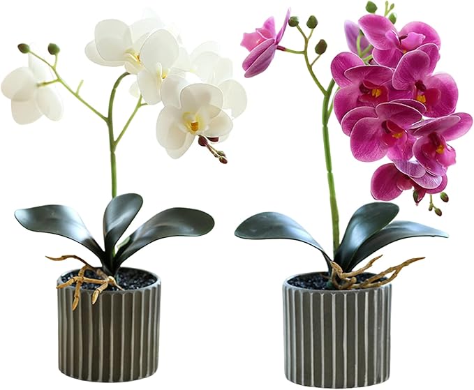 Artificial Orchid 12.6 Inch Tall Realistic Faux Orchid in A Pot Real Touch Decorative Bonsai Fake Flowers for Table Centerpieces Living Room Home Decor White