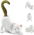 Tailless Cat Ceramic Planter – for Succulents & Cactus, Indoor Small Pot | Home/Office Desk Decor, Gift for Pet Lovers