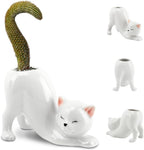 Tailless Cat Ceramic Planter – for Succulents & Cactus, Indoor Small Pot | Home/Office Desk Decor, Gift for Pet Lovers