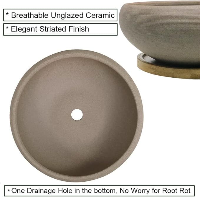 MUZHI Round Unglazed Ceramic Bonsai Pot with Bamboo Tray, Large Rough Pottery Succulent Planter with Drainage Hole 8 inch … (8”)