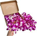 Miami Fresh Orchid Loose Bloom PERISHABLE flowers OrchidClub USA Sunne Tropical DIY lei, food & drink decoration (100 PURPLE)