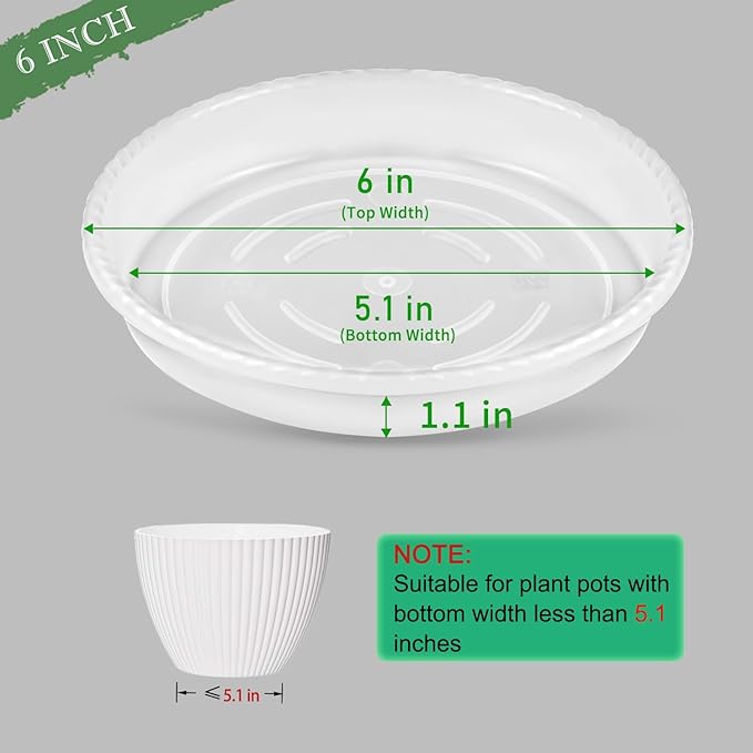 SupKing 6 Pack Plant Saucers Drip Tray,6 8 10 12 14 Inch Heavy Sturdy Plastic Flower Pot Saucers for Indoor,Clear Plastic Planter Water Tray for Plant Pots Liners (6''-Clear)