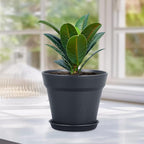 Meowell 6 inch Nursery Pots, 16 Pack Plastic Plant Pots for Indoor Outdoor Plants, Flower Pots with Drainage Holes and Saucers, Decorative Seedling Starter Planters for House Plants, Black