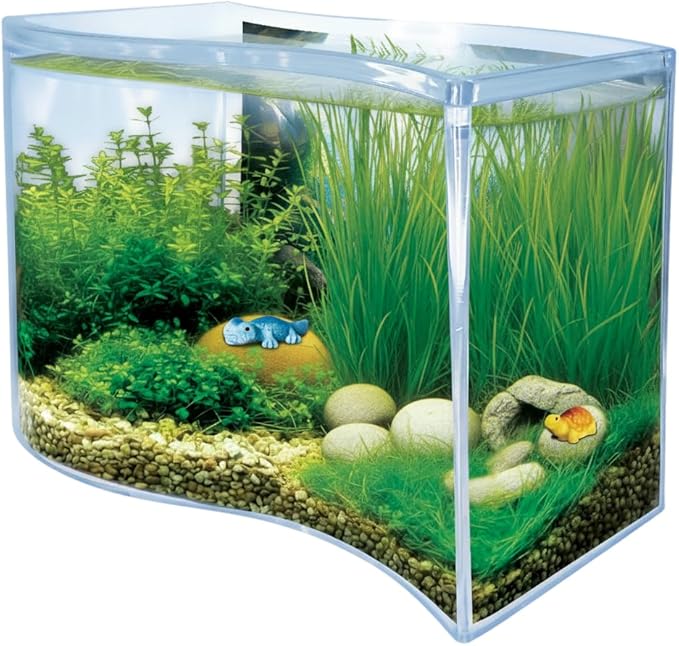 Toys By Nature Freshwater Oasis Garden, Mini Wave Terrarium Kit with Aquatic Seeds and Real Water Plant, Beginner-Friendly Terrariums and Live Indoor Plants Decor