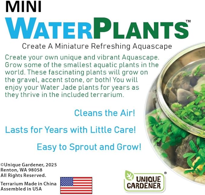Mini WaterPlants - Create Your Own Soothing Aquasacape Starter Kit, Indoor Plant Glass Globe Terrariums with Complete Supplies, Just Add Water, 3-Pack