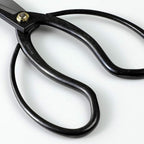 Wazakura Japanese Bonsai Trimming Care Kit Made in Japan - Traditional Bonsai Scissors 7inch(180mm) + Sap Rust Eraser Gift Box Set
