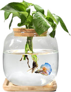 Betta Fish Bowl Glass Small Fish Tank with Bamboo Stand, Plant Propagation Station Hydroponic Terrarium with Lid beta Fish Aquariums 0.6 Gallon