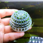 4 Pack Aquarium Moss Ball Shape Holder, Fish Tank Moss Ball Live Plants Shaping Filter Planter, Exotic Moss Accessory Decor Ornaments for Aquarium Shrimp Betta Fish Tank