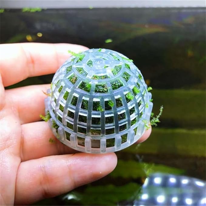 4 Pack Aquarium Moss Ball Shape Holder, Fish Tank Moss Ball Live Plants Shaping Filter Planter, Exotic Moss Accessory Decor Ornaments for Aquarium Shrimp Betta Fish Tank