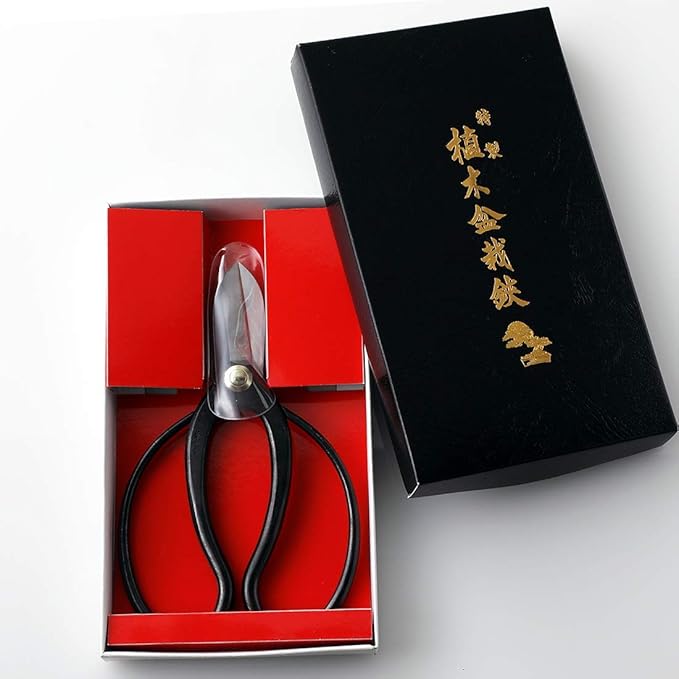 Hanafubuki Wazakura Ikebana Scissors MADE IN JAPAN 6.7 inch (170 mm), Japanese Flower Arranging Tools, Kado Hasami Shears - Koryu Black