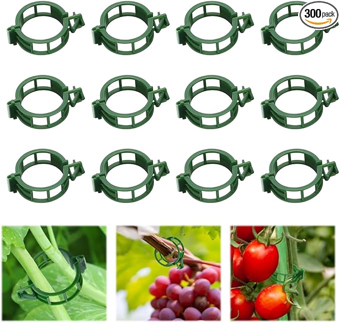 100pcs Plant Support Clips for Climbing Plants, Reusable Plastic Trellis Clips for Tomato, Grape Vine, Vegetables, Garden Fixing Clips (300, Green)