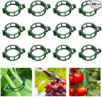 100pcs Plant Support Clips for Climbing Plants, Reusable Plastic Trellis Clips for Tomato, Grape Vine, Vegetables, Garden Fixing Clips (300, Green)