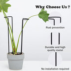 10-Pack Monstera Plant Support - 12 Inch Durable Iron U-Shaped Trellis Stakes for Indoor & Outdoor Medium-Sized Potted Plants - Perfect Stem Holder for Monstera & More