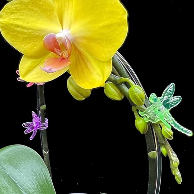 60 Pcs Plant Orchid Clips Kit Butterfly Vine Clips Dragonfly Orchid Support Clips Garden Plant Clips for Support Flower Vine Orchid, Mix Color