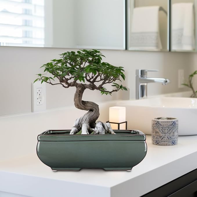 Set of 2 Green Glazed Ceramic Bonsai Pots, 9.8" & 7.4" Shallow Bonsai Pots Planters with Drainage for Indoor/Outdoor Plants, Rectangular Bonzie Tree Pot for Succulents, Cacti, Orchids, Herbs, Flowers