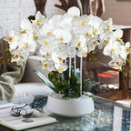 DILATATA 4 Pcs Artificial Orchid Stems with 9 Large Flowers Real Touch Phalaenopsis Orchids Flowers Fake Flower Branches 31.5" Tall for Home Arrangement -White Green Orchid