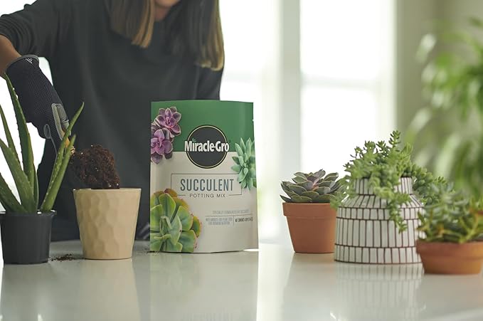 Miracle-Gro Succulent Potting Mix - Potting Soil Mix for Indoor Succulents, Aloe Vera and More, Made with Miracle-Gro Plant Food, 4 qt. (2-pack)