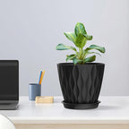 Meowell 6 inch Plant Pots, 5 Pack Flower Pots for Indoor Outdoor Plants, Water Ripples Plastic Planters with Drainage Holes and Saucers, Nursery Pots for Small Succulent Garden House Plants, Black