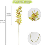 IPOPU 5 Pcs Real Touch Orchids Flowers Green Latex Artificial Orchid Stems for Wedding Party DIY Bridal Bouquet Table Centerpiece Arrangement Office Home Decor