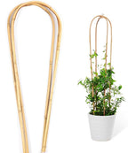 Cambaverd Natural Bamboo Trellis for Climbing Plants Indoor Outdoor, 3 Feet Garden Arch Trellis for Potted Plants, 3 Pack Large Plant Trellises